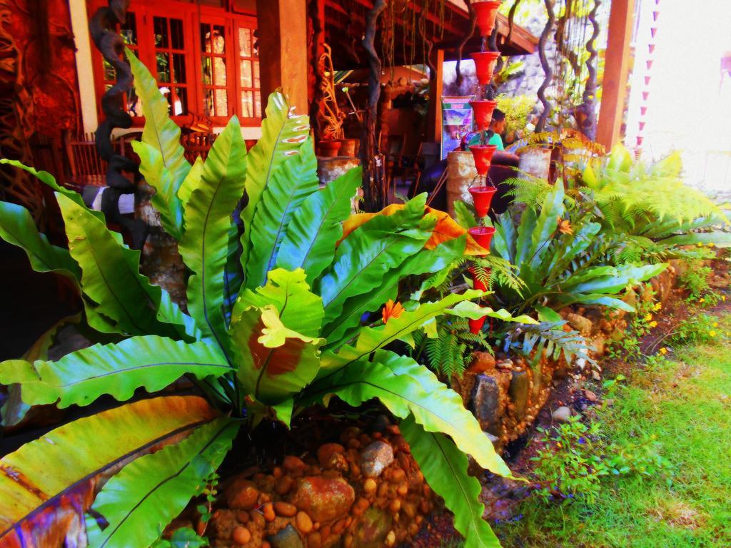 Sapphire Holiday Resort Ratnapura Zewnętrze zdjęcie
