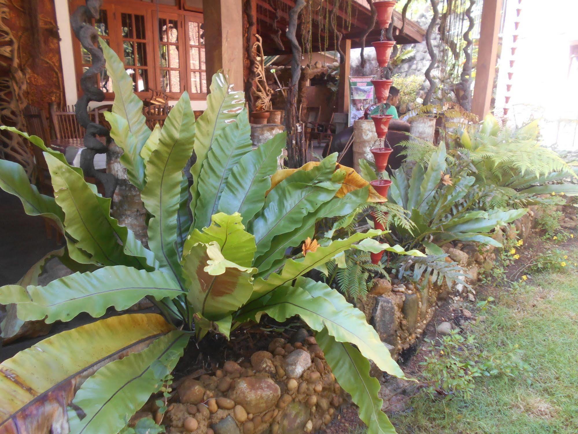 Sapphire Holiday Resort Ratnapura Zewnętrze zdjęcie