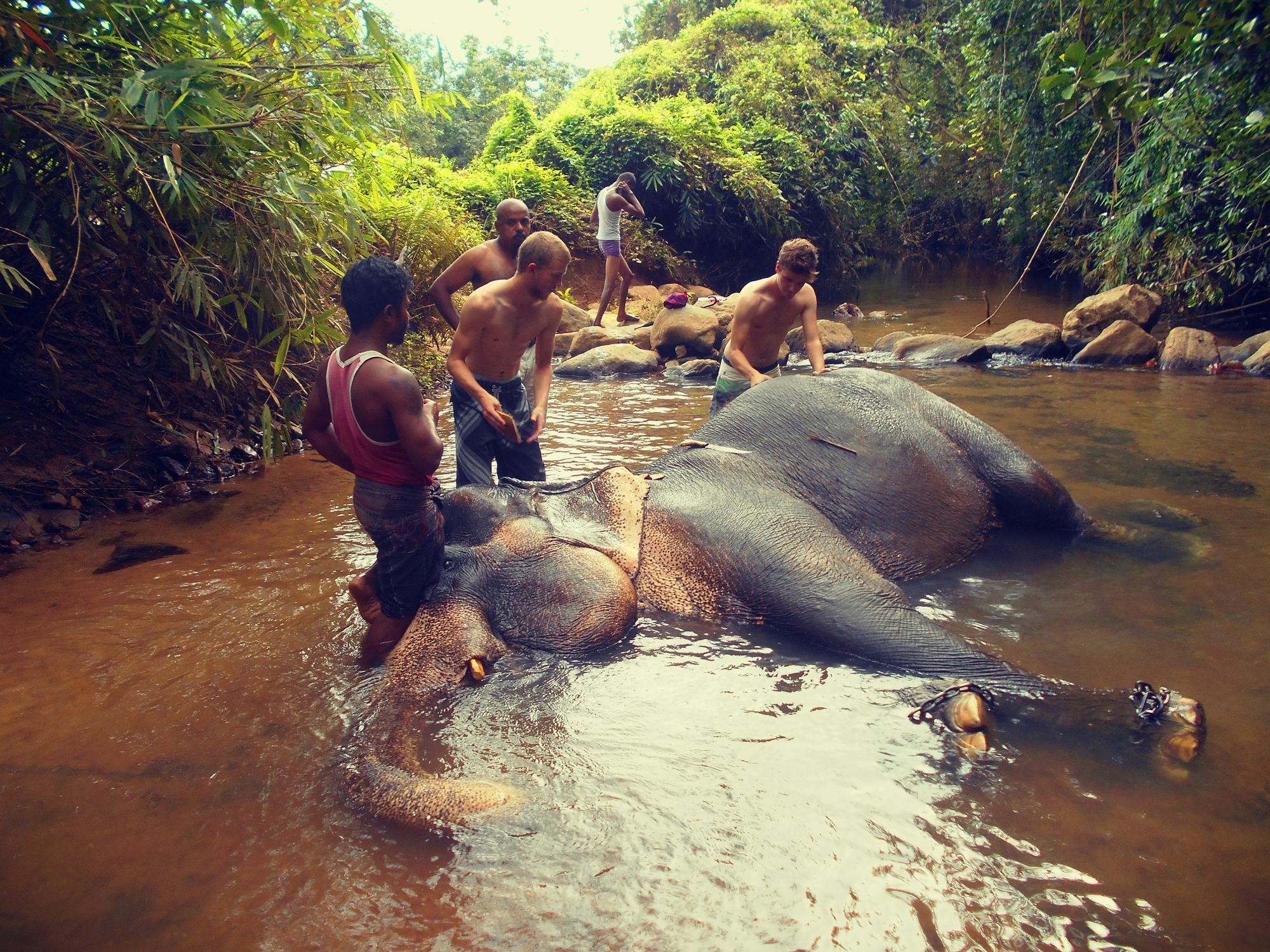 Sapphire Holiday Resort Ratnapura Zewnętrze zdjęcie