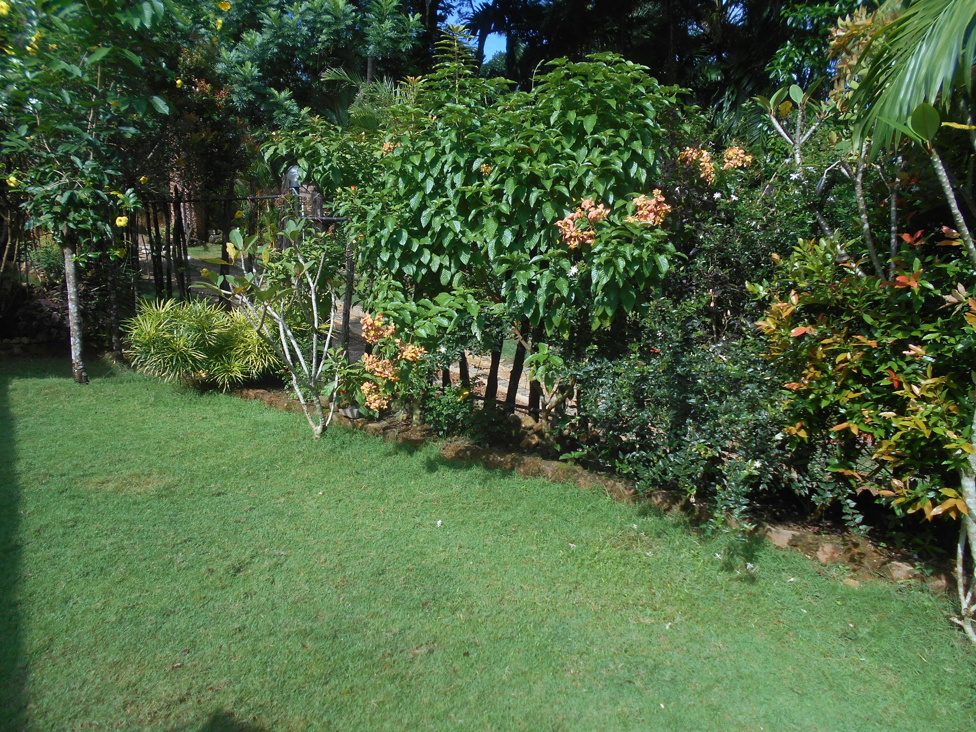 Sapphire Holiday Resort Ratnapura Zewnętrze zdjęcie